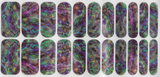 Abalone