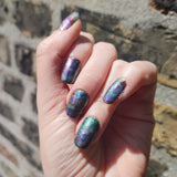 Abalone