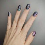 Abalone