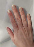 Holo Glitter