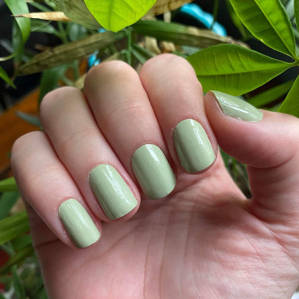 Sage Green Solid